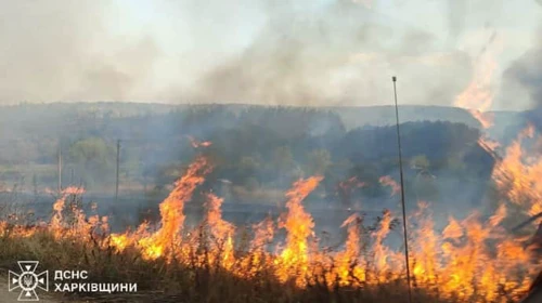 На Харківщині вирує масштабна лісова пожежа: евакуювали село, гасять 275 рятувальників