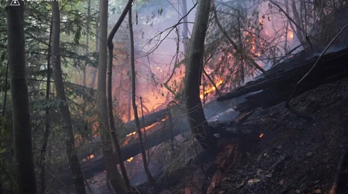 Large forest fire on Chernihiv Oblast border shifts back towards Russia – video