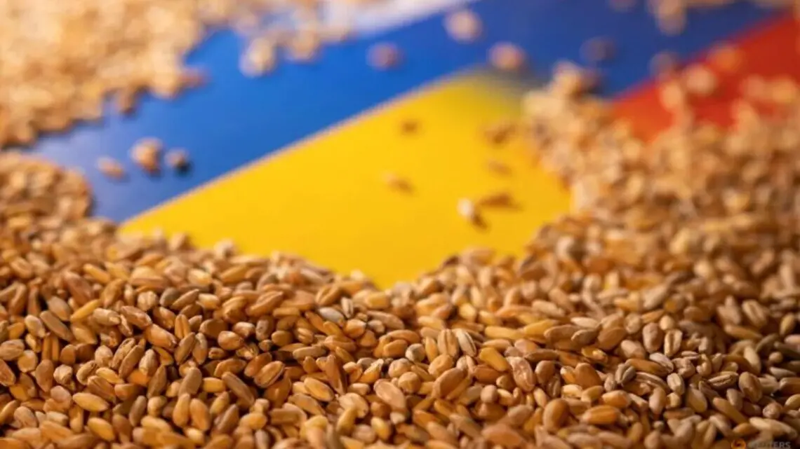 Міністерства аграрної політики назвало обсяг експорту зерна у 2023