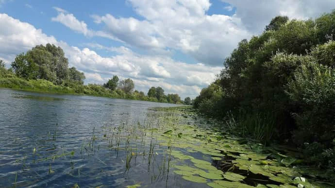 Повторне забруднення рухається руслом річки Сейм – Міндовкілля