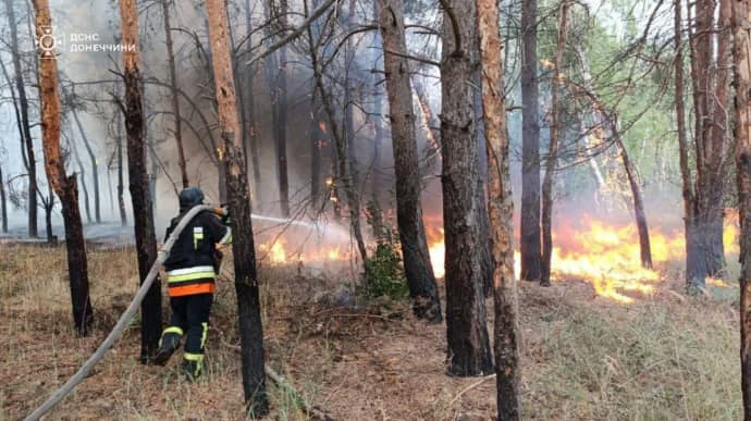 Рятувальники п'ять діб гасять пожежу у Національному парку "Святі гори" на Донеччині