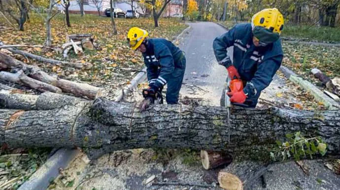 Сильный ветер повалил десятки деревьев в Киеве